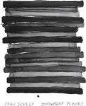 Picture of Sean Scully - Different Places