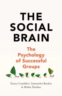 Picture of The Social Brain