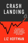 Picture of Crash Landing