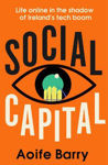 Picture of Social Capital: Fear and loathing in the shadow of Ireland's tech boom