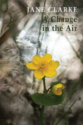 Picture of A Change in the Air