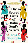 Picture of The Secret Lives of Baba Segi's Wives