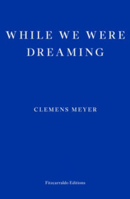 Picture of While We Were Dreaming