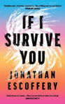 Picture of If I Survive You - Stories