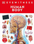 Picture of Human Body