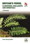 Picture of Britain's Ferns: A Field Guide to the Clubmosses, Quillworts, Horsetails and Ferns of Great Britain and Ireland