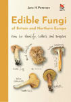 Picture of Edible Fungi of Britain and Northern Europe: How to Identify, Collect and Prepare