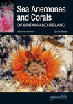 Picture of Sea Anemones and Corals of Britain and Ireland