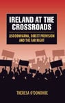Picture of Ireland at the Intersection - Lisdoonvarna, Direct Provision and the Tactics of the Far Right