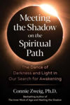 Picture of Meeting the Shadow on the Spiritual Path: The Dance of Darkness and Light in Our Search for Awakening