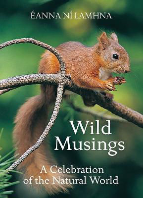 Picture of Wild Musings