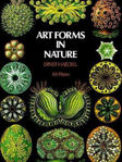 Picture of Art Forms in Nature