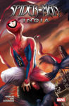 Picture of Spider-man: India