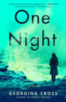 Picture of One Night: A Novel