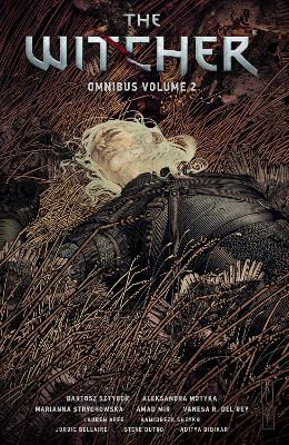 Picture of The Witcher Omnibus Volume 2