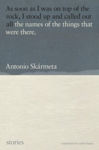 Picture of The Names Of The Things That Were There: Stories