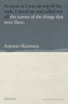 Picture of The Names Of The Things That Were There: Stories