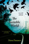 Picture of The Invisible World: A Novel