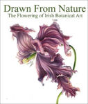 Picture of Drawn From Nature: The Flowering of Irish Botanical Art
