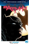 Picture of Batman Vol. 1: I Am Gotham (Rebirth)