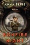 Picture of Bonfire Night