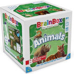 Picture of BrainBox Animals | Card Game | Ages 8+ | 1+ Players | 10+ Minutes Playing Time