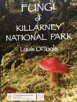 Picture of Fungi of Killarney National Park