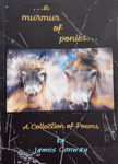 Picture of A Murmur Of Phonies