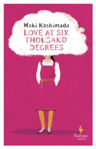 Picture of Love at Six Thousand Degrees: A Novel