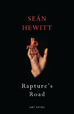 Picture of Rapture's Road: from the author of All Down Darkness Wide