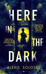 Picture of Here in the Dark