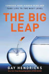 Picture of The Big Leap: Conquer Your Hidden Fear and Take Life to the Next Level