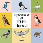 Picture of My First Book of Irish Birds