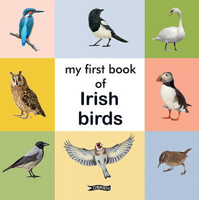 Picture of My First Book of Irish Birds
