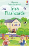 Picture of Everyday Words In Irish Flashcards