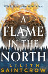 Picture of A Flame in the North