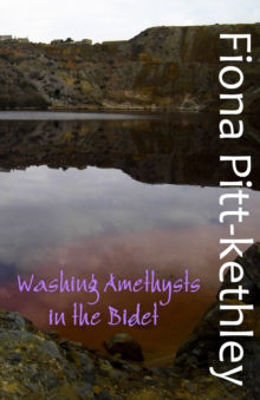 Picture of Washing Amethysts in the Bidet