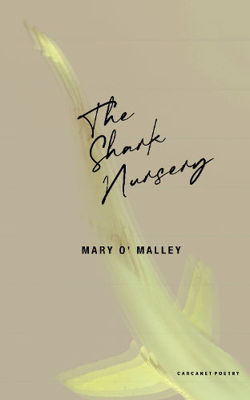 Picture of The Shark Nursery