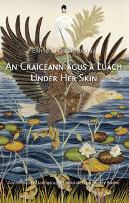 Picture of An Craiceann agus a Luach : Under Her Skin