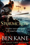 Picture of Stormcrow : The brand new 2024 historical blockbuster about Vikings, bloodshed and battles