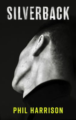 Picture of Silverback