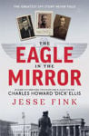 Picture of Eagle In The Mirror