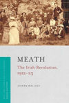 Picture of Meath : the Irish Revolution 1912-23