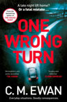 Picture of One Wrong Turn