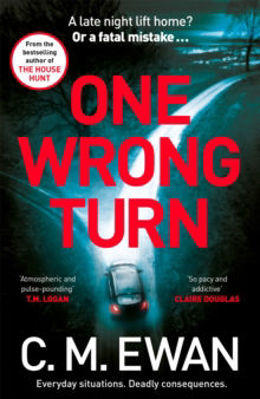Picture of One Wrong Turn