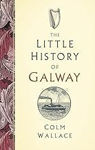Picture of The Little History of Galway