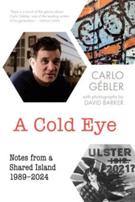 Picture of A Cold Eye: Notes from a Shared Island, 1989-2024