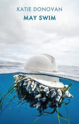 Picture of May Swim