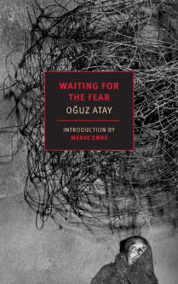 Picture of Waiting for the Fear