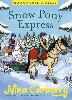 Picture of Rowan Tree Stables 3 - Snow Pony Express